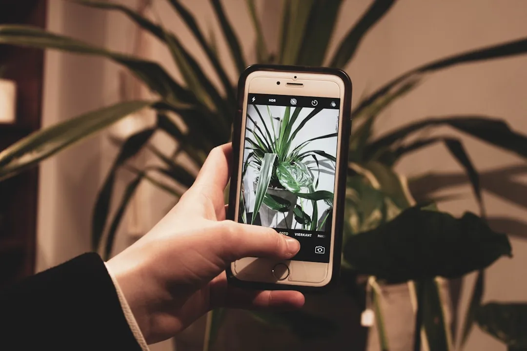 Aplicativos para Identificar Plantas com IA
