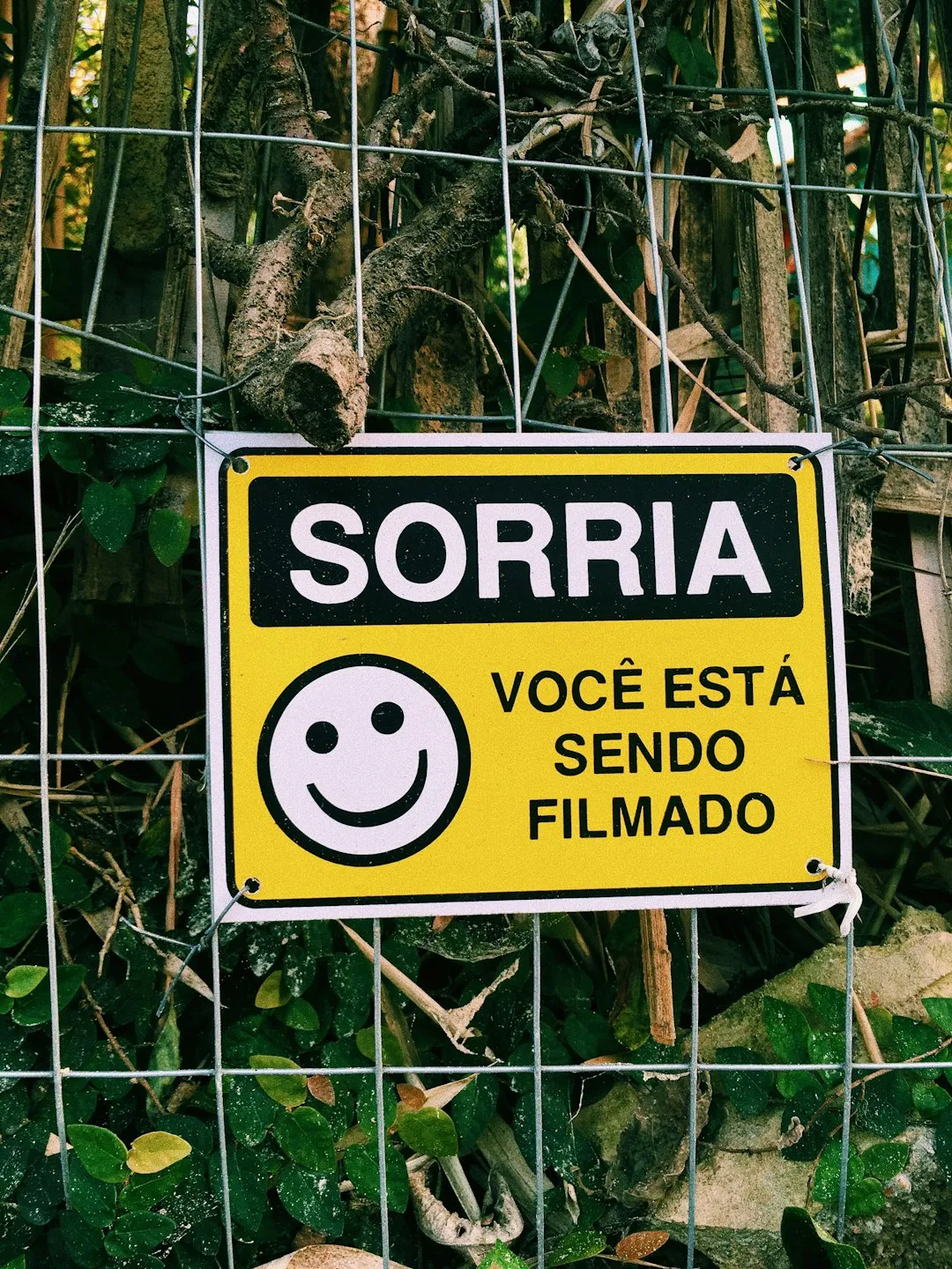 Como Criar Conteúdo de Comédia que Viraliza Rapidamente