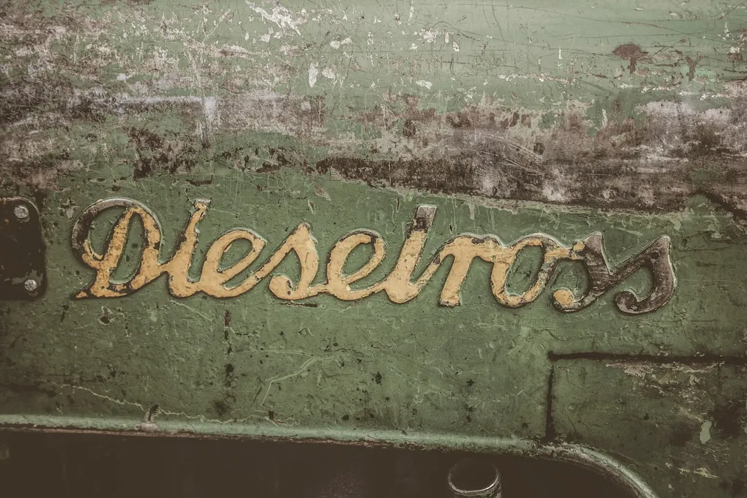 Essa IA Descobre o Nome da Sua Planta e Ensina Como Cuidar