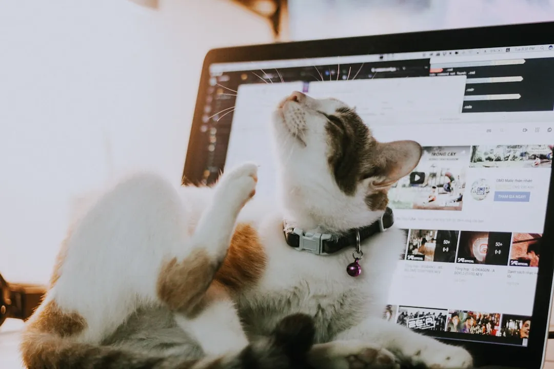 Vídeos de Animais Engraçados que Bombam na Internet: O Fenômeno das Redes Sociais